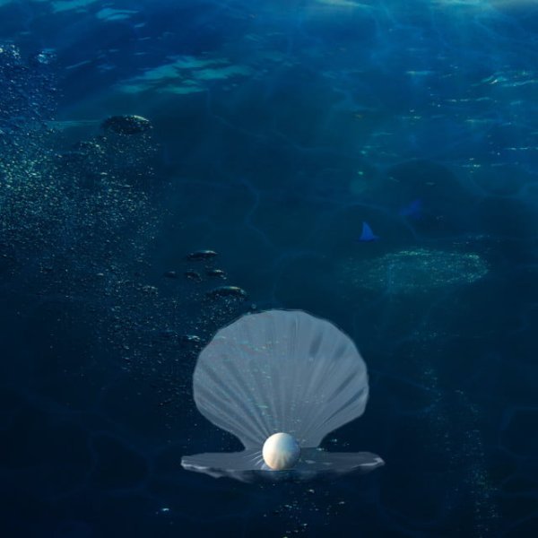 Жемчуг в ракушке