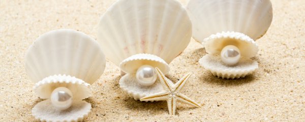 Раковина Жемчужница морская