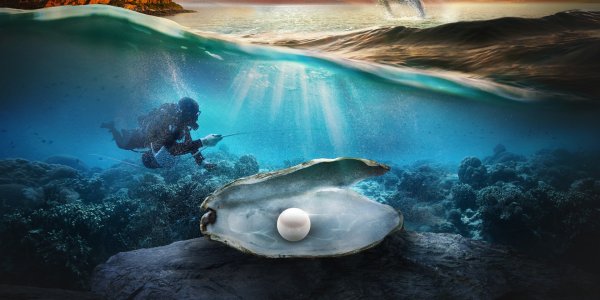 Жемчуг моллюска тридакны