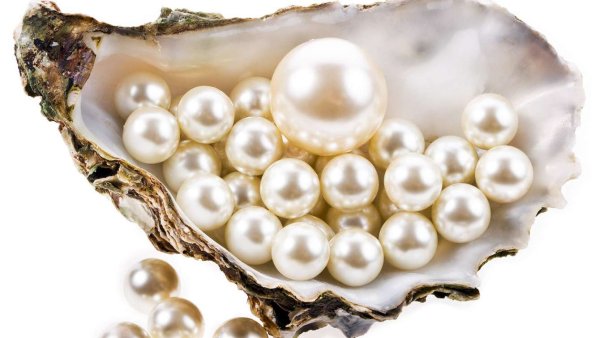 Морской фон для фотокниги