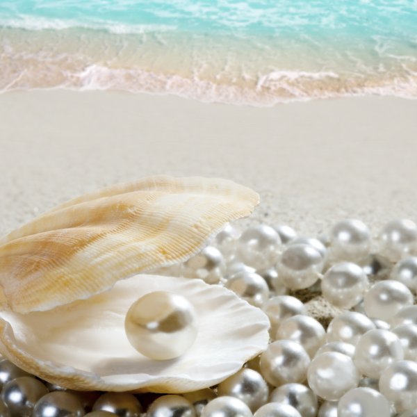 Морская раковина с жемчужиной