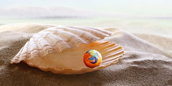 Морская Жемчужница моллюск