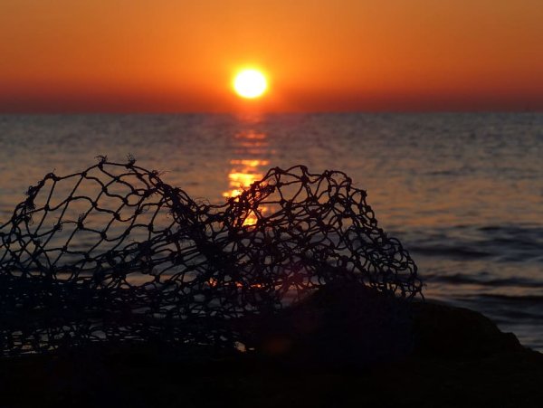 Сеть в море