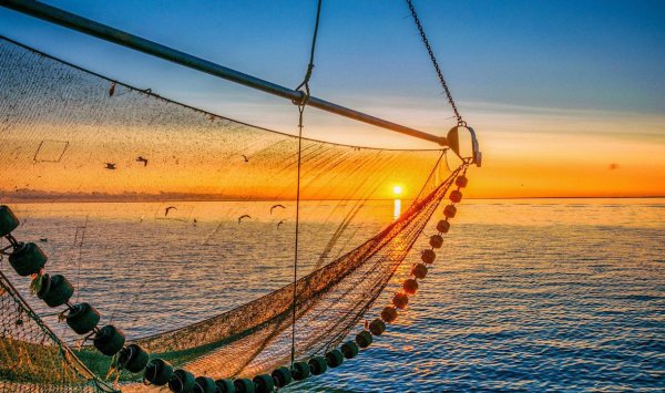 Рыбацкая сеть