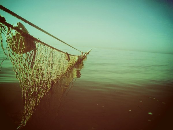 Шелковый невод