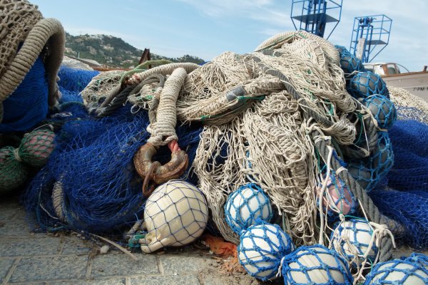 Сеть в море