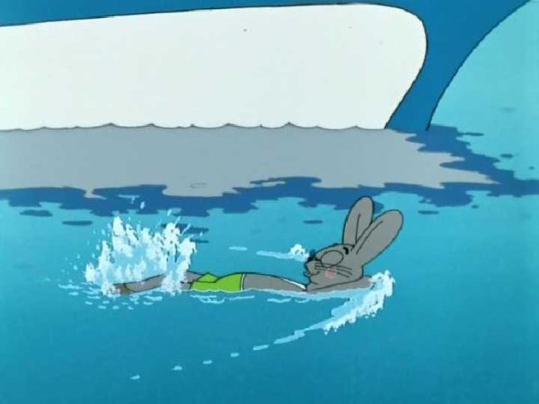 Заяц купается