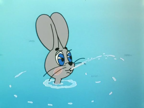 Кот на берегу моря лежит