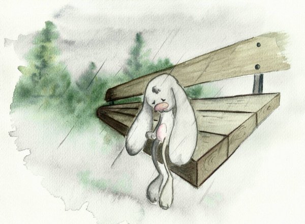 Собака убегает в закат