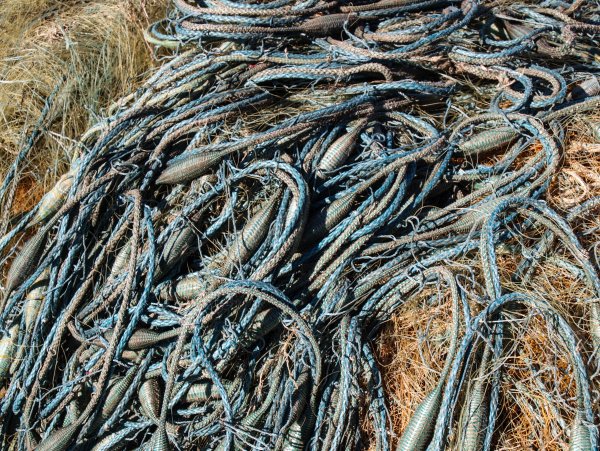 Морское рыболовство