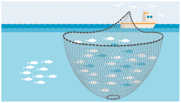 Донный невод