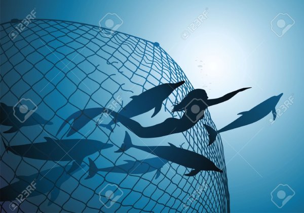 Сети рыболовные пиксабай