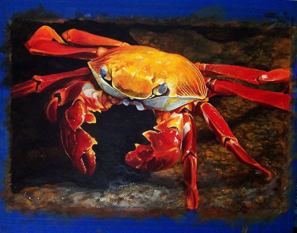 Краб художник