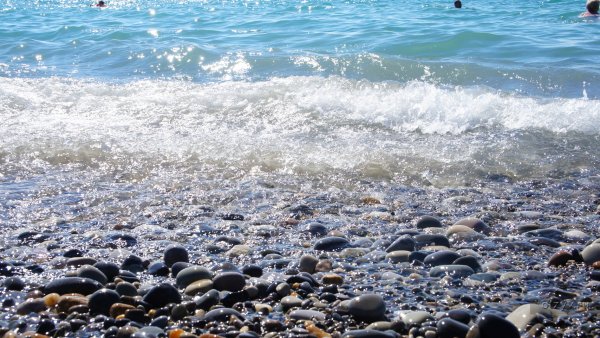 Сочи Адлер природа