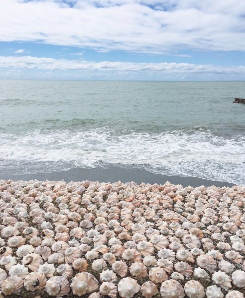 Пляж Хоста Адлер