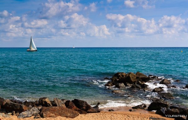 Морской Прибой Сочи