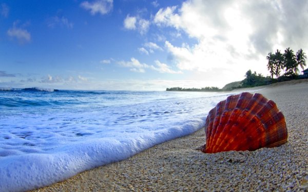 Море закат волны брызги