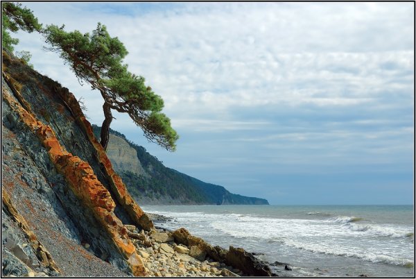 Геленджик берег Утес