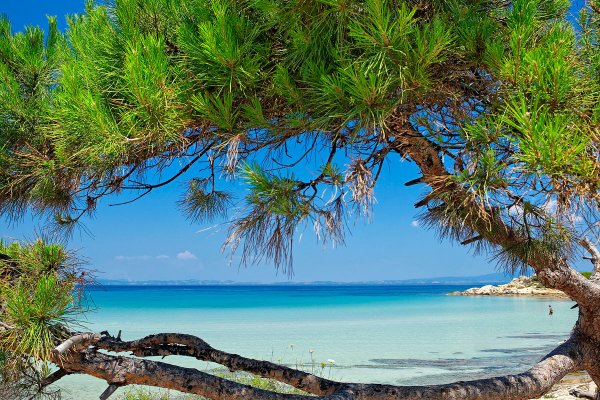 Полуостров Ситония Греция