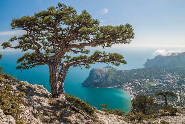 Природа Крыма новый свет