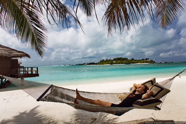 Человек под пальмой