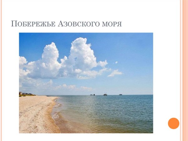 Азовское море ракушечный берег