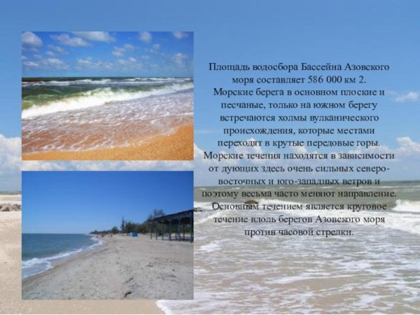 Берег Азовского моря Бердянск