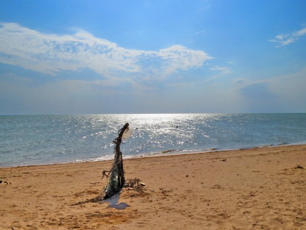 Станица Голубицкая ракушечный пляж