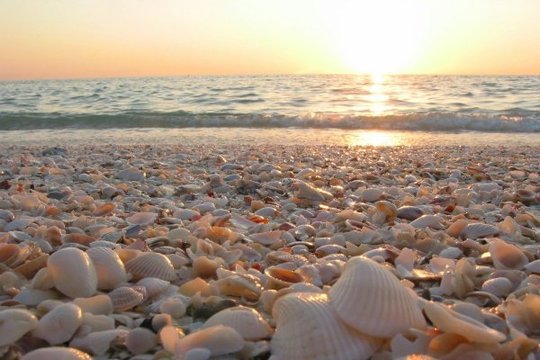 Галоклин Скаген