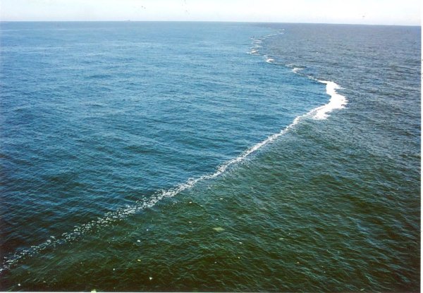 Азовское море доклад кратко