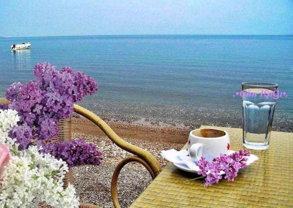 Доброе утро на яхте