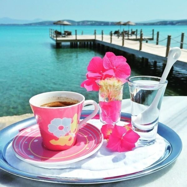 Красивый завтрак с видом