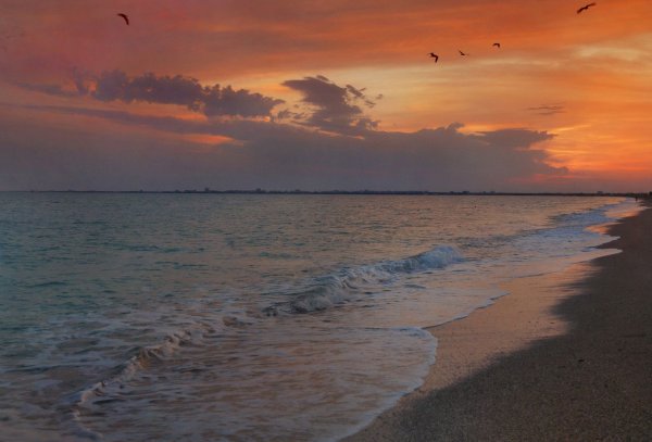 Саки Крым море и пляж