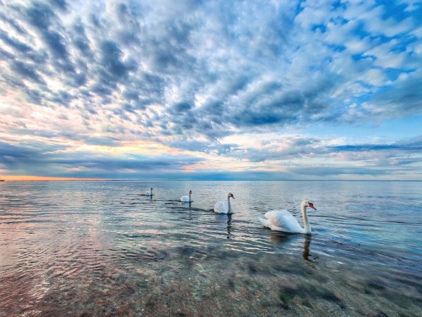 Рассвет на море Евпатория
