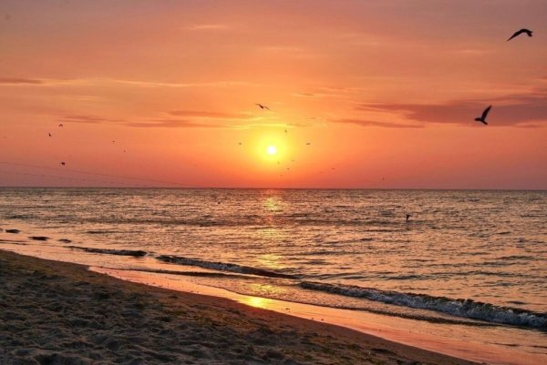 Рассвет Саки Евпатория