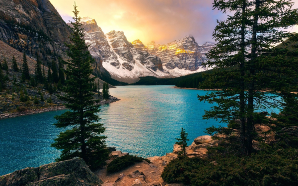 Хвойный лес Грузия озеро