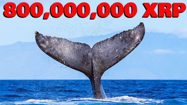 Хвост кита всплеск