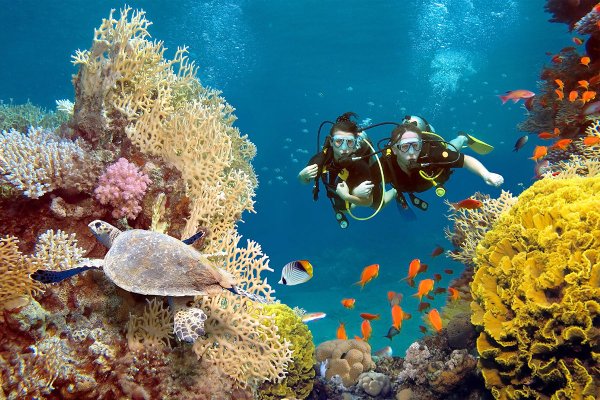 Подводный риф Марса Алам