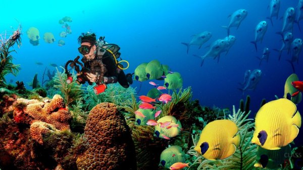 Хиккадува коралловый риф