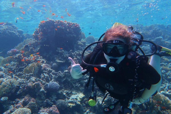 Дайвинг в Иордании