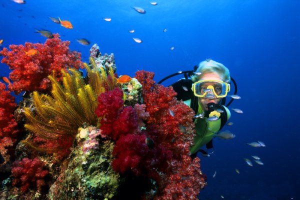 Дайвинг в Египте Хургада