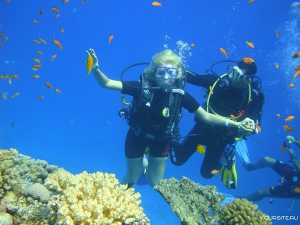 Снорклинг Шарм Эль Шейх