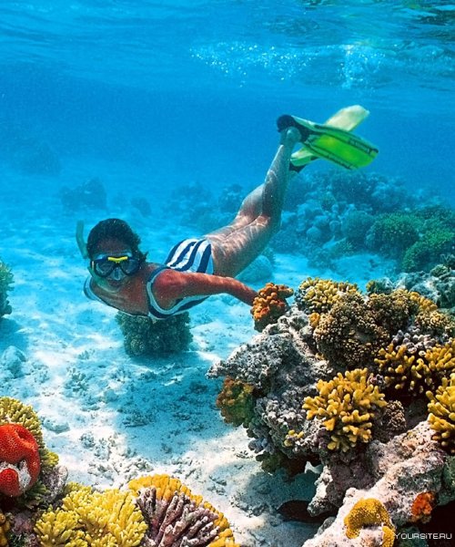 Подводный дайвинг