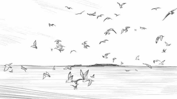 Мори рисунок карандашом