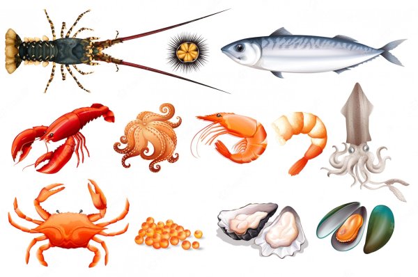 Морепродукты картинки для детей