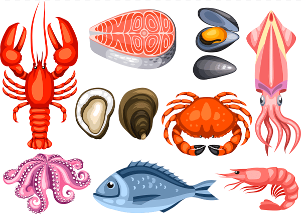 Иллюстрации для детей морепродукты