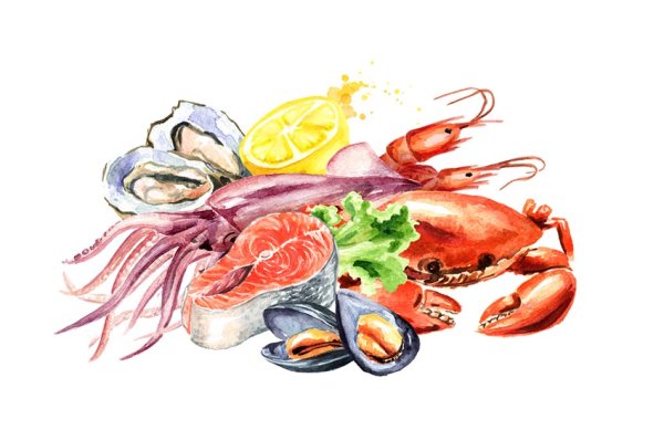 Морепродукты акварель