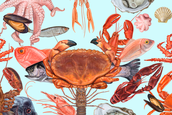 Морепродукты векторное изображение