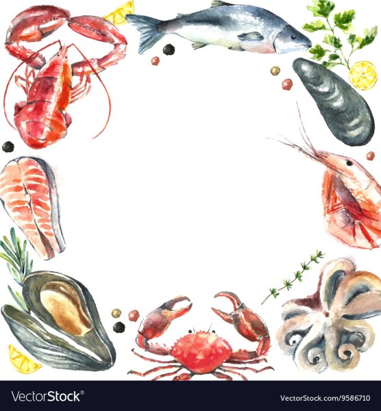 Морепродукты презентация