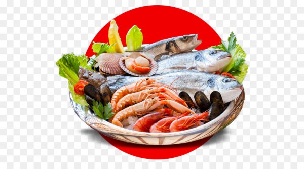 Виды морепродуктов